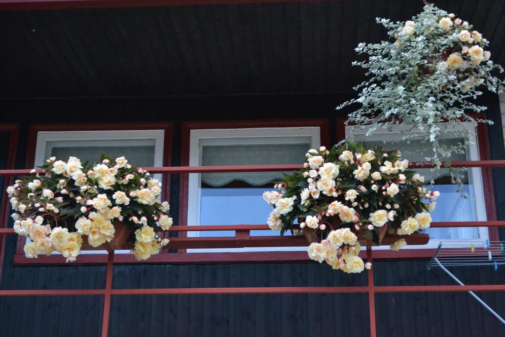 Hotel Nooruse Majutus Kuressaare Exterior foto